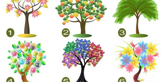 Bu dünyada herkesin bir ağacı var! Senin ağacın ne? Öğrenmek ister misin?