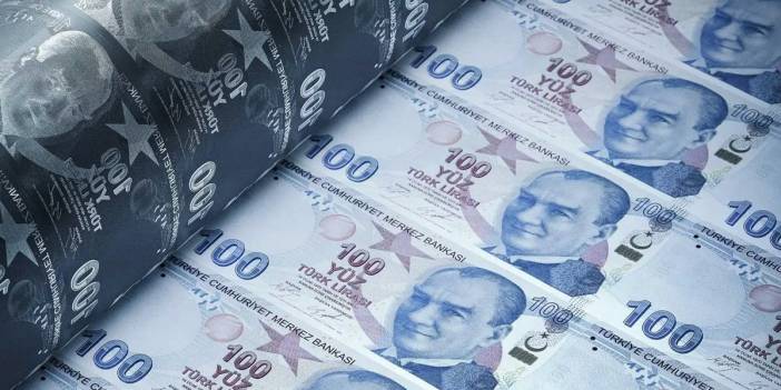Merkez Bankası'nın 30 milyarlık liralık bağışını ekonomistler yorumladı: Para basarak bağış olmaz