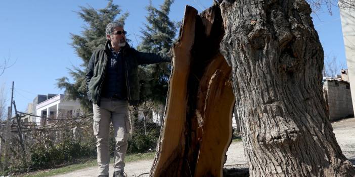 Ortadan ikiye yarıldı, tam 1 metre... Deprem uzmanı Kahramanmaraş'taki şaşırtan görüntüyü yorumladı