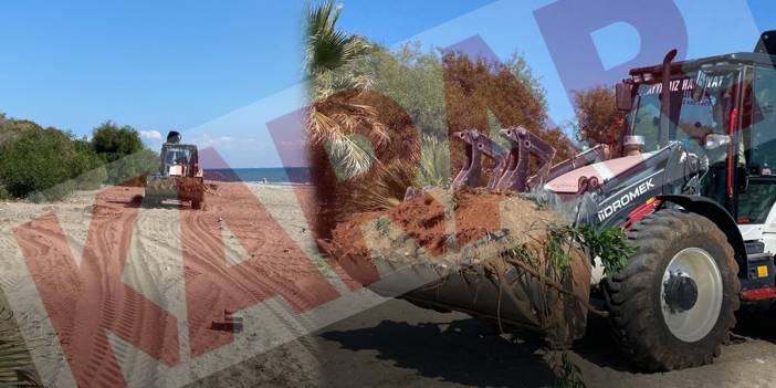 Caretta carettaların yumurtlama alanında talan! Koruma altındaki parka iş makineleri girdi