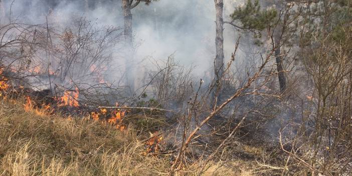 Çöp yakmak isterken ormanı tutuşturdu