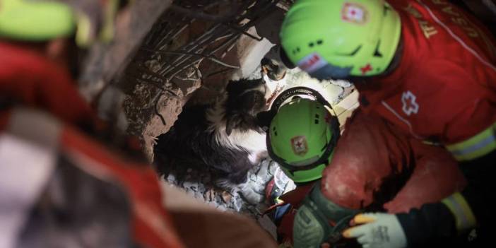 Depremzede canlar için 72 saat süre: Bakanlık yeni genelgeyi yayımladı