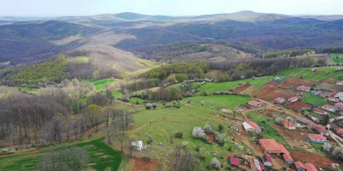 Kuzey Ormanları'na ölümcül darbe: Parsel parsel satılıyor