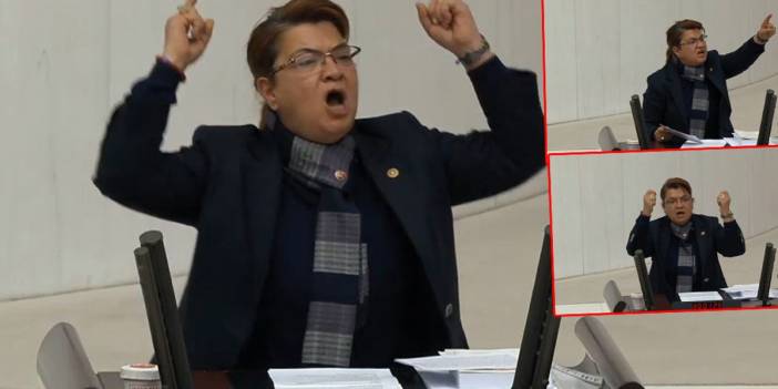 CHP'li Şahin kürsüye vura vura AK Parti sıralarına seslendi: Ben utanıyorum...