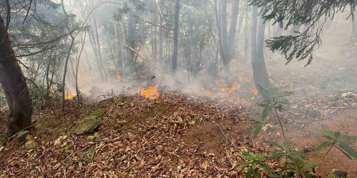 Trabzon'da ormanlık alanda yangın
