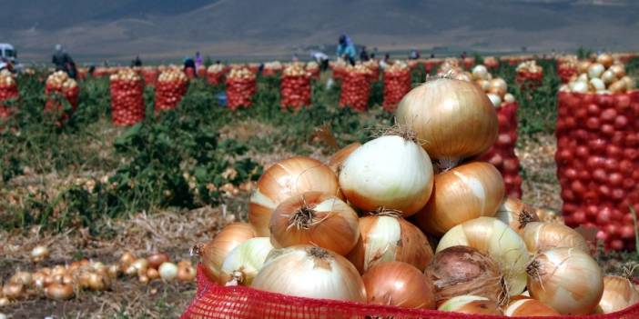Üretici kazanamadı, tüketici ulaşamadı: Tarlada çok sofrada yok