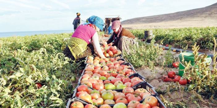 İthal gıda fiyatları düşürmüyor! Vurguncu yine kazanıyor