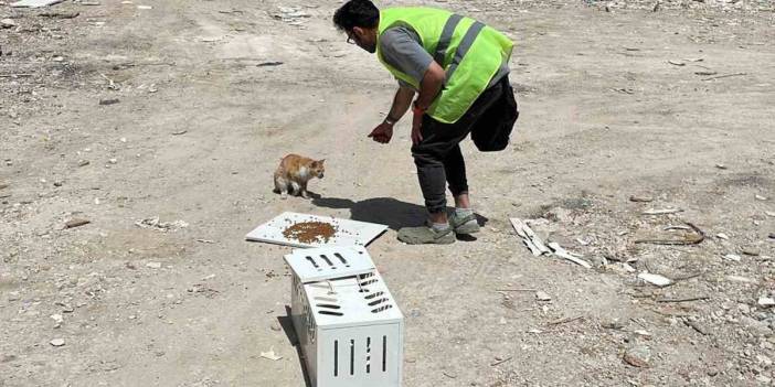 76 gün sonra gelen mucize: ‘Ecevit’ canlı bulundu