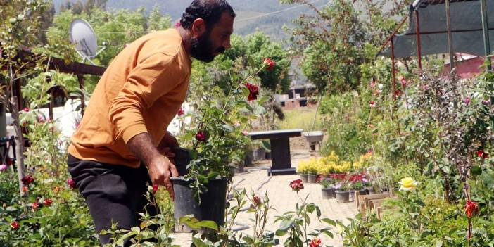 Hataylı çiçekçilerin depremden sonraki zor mesaisi: Sadece mezarlıklara satıyoruz