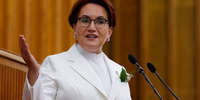Akşener, yurt dışı seçmenine seslendi: Başınızı öne eğmeye çalışanlara asla müsaade etmeyeceğiz