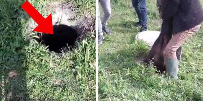 Gelen sese giden vatandaşlar gördükleri manzara karşısında hayatının şokunu yaşadı! Kuyudan çıkanı görünce...