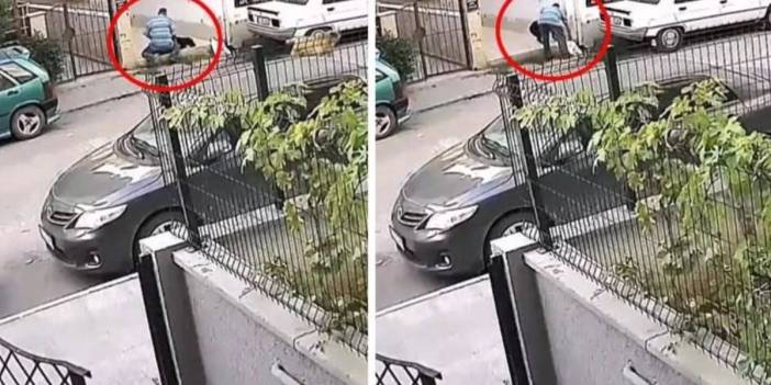 O ilimizde skandal görüntüler! Gündüz vakti sokak ortasında köpeğe... O sapık için hesap vakti!