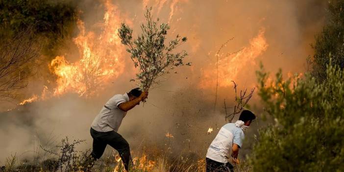 Ormanları 'liyakat' sorunu yok ediyor: Türkiye 'yangın' sınavına hazır değil