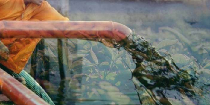 İran ile Sri Lanka arasında görülmemiş anlaşma: Milyonlarca dolarlık petrol borcu çayla kapanacak