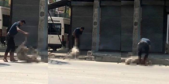 Koyunu bayıltana kadar darp eden 'sözde' kasaptan çıldırtan savunma