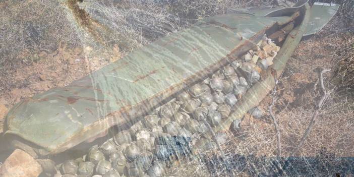 Kullanımı 120'den fazla ülkede yasak: ABD'den Ukrayna'ya tartışma yaratan silah yardımı