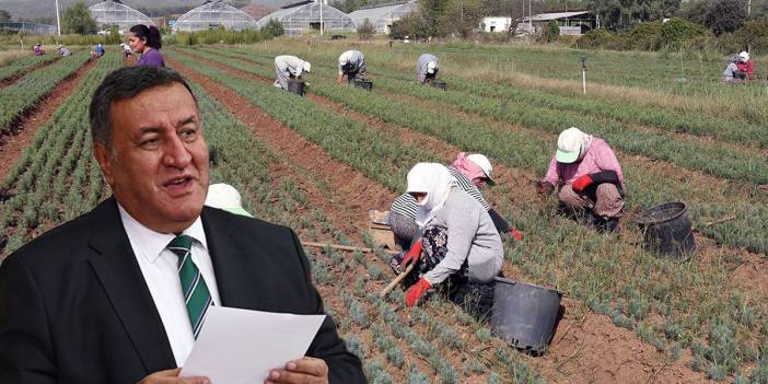 CHP'li Gürer'den 'SGK primi' vurgusu: Tarım sektöründe istihdam azalıyor