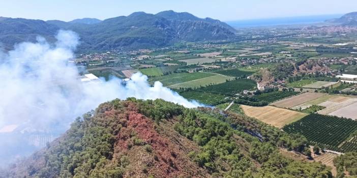 Muğla'da ormanlık alanda yangın: Ekipler müdahale ediyor