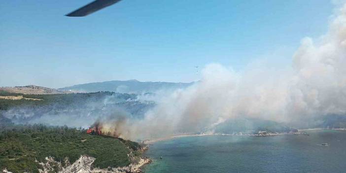 İzmir'in iki ilçesinde orman yangını!