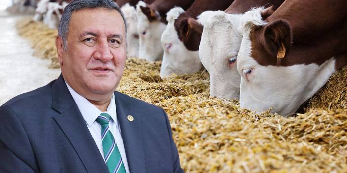 CHP'li Gürer, çiftçiye destek verilmesini istedi: Yemdeki fiyat artışının önüne geçilmeli