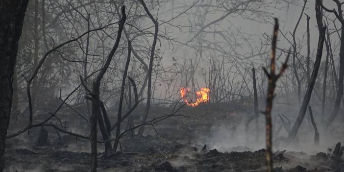 Bursa'da orman yasağı: Mesire alanları ve piknikte ateş yakılmayacak