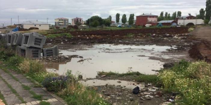 CHP'li Alp'ten tepki: Kars sokaklarının hali içler acısı