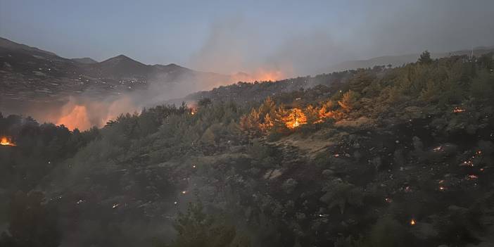 Maraş'taki orman yangınında 100 hektar alan zarar gördü