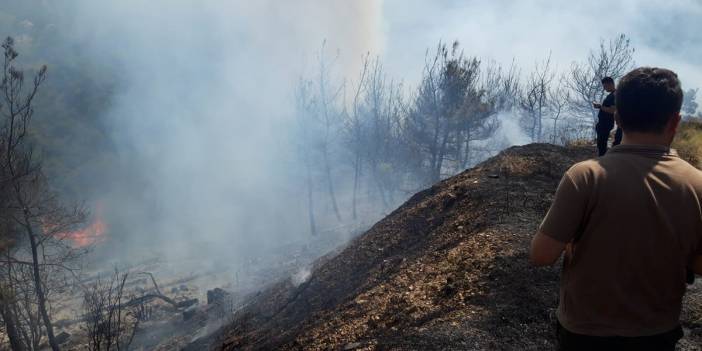 İzmir'de iki farklı noktada orman yangını!