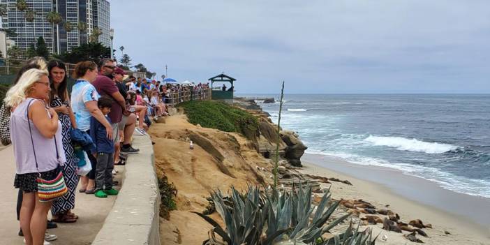 Milyonlarca insanın ölümüne neden oldu! DSÖ'den korkutan rapor