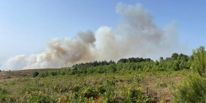 İstanbul'da orman yangını! İtfaiye ekipleri sevk edildi