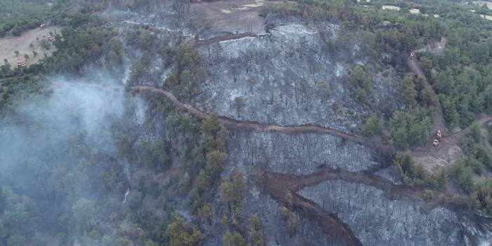 Çanakkale'de orman yangını: Havadan müdahale de başladı