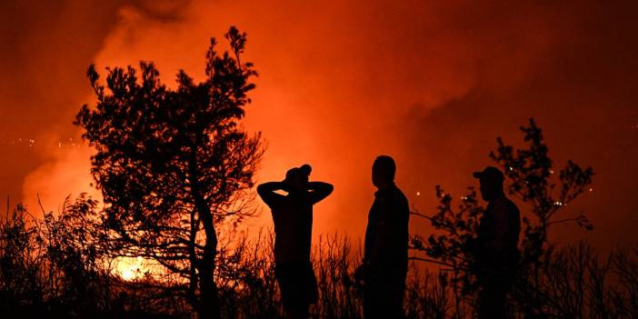 Yine orman yangını 'sınavı': Alevlerle mücadelede son durum ne?