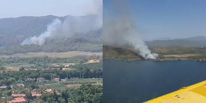 Muğla Fethiye'de orman yangını