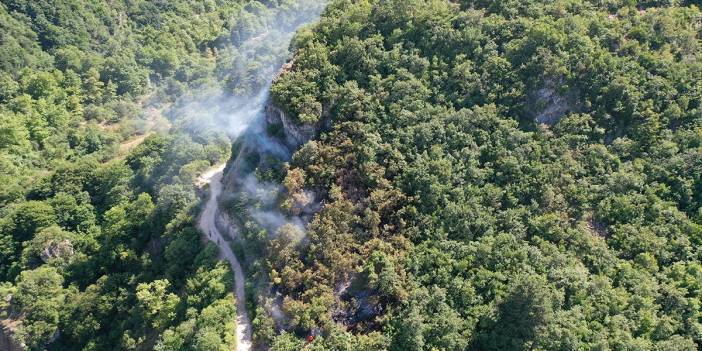 Uludağ'ın eteklerinde çıkan orman yangını kontrol altına alındı