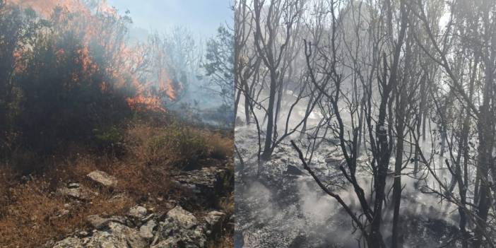 Burdur'daki yangın saatler sonra kontrol altında! 1 hektarlık alan küle döndü