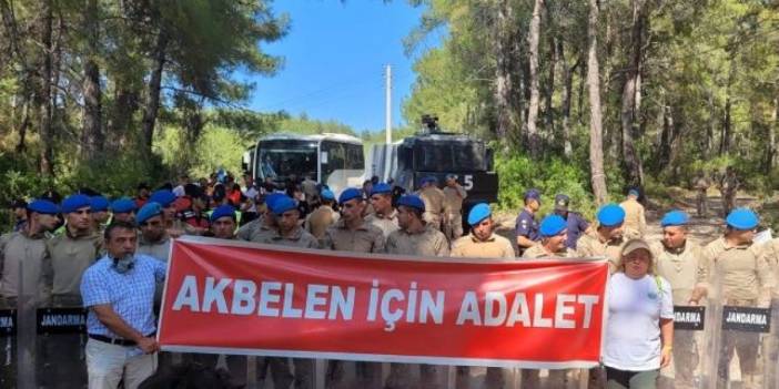 Prof. Kantarcı'dan Akbelen uyarısı: Bodrum'u susuz bırakır