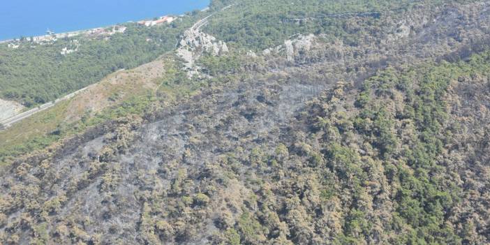 Kemer'deki yangının faturası ortaya çıktı: 420 futbol sahası küle döndü