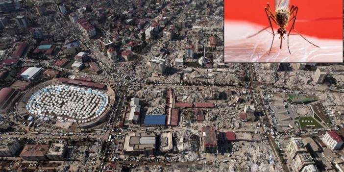 Afet bölgesinin yanı başındaki tehlike: Salgını durdurmak için 'anafel'i yok edin