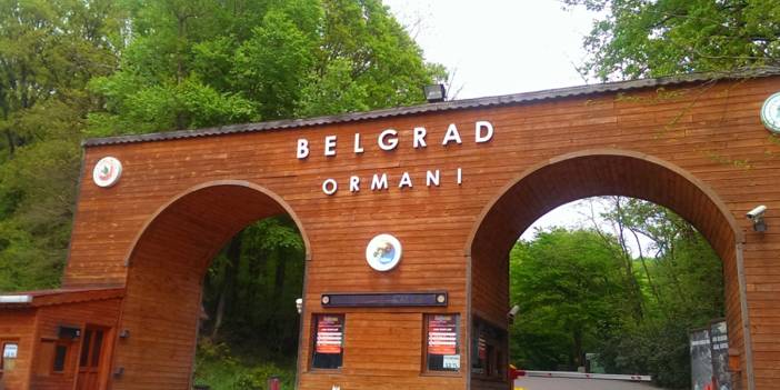 Belgrad Ormanı'nda polis denetimi: Yangınlara karşı tedbir alınıyor