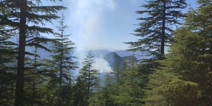 Orman yangınları bitmek bilmiyor: 5 ilde ormanlar ateş altında