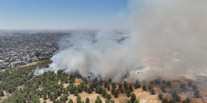 Adıyaman’da orman yangını: Yangın söndürme çalışmaları devam ediyor