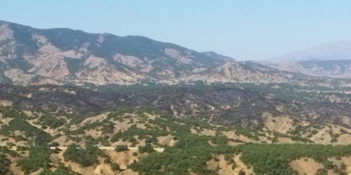 Bingöl'de dünden beri süren orman yangını kontrol altında