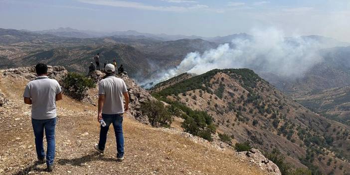 Havadan ve karadan müdahale: Bingöl saatlerdir yanıyor