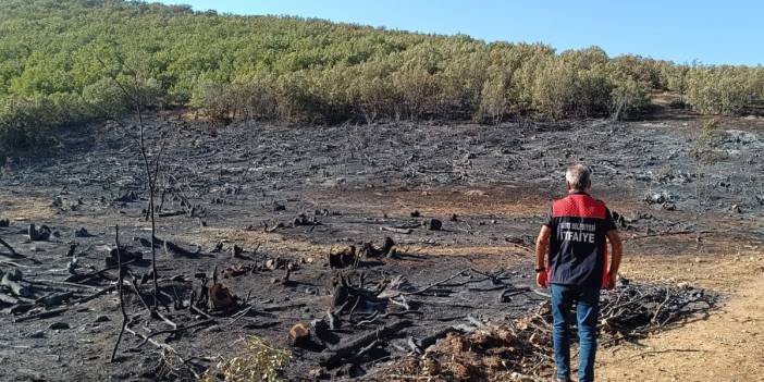 Siirt'teki orman yangını 15 saat sonra söndürüldü