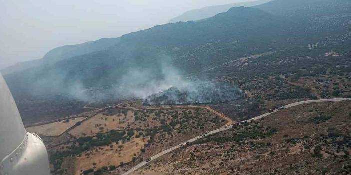 İzmir'de orman yangını