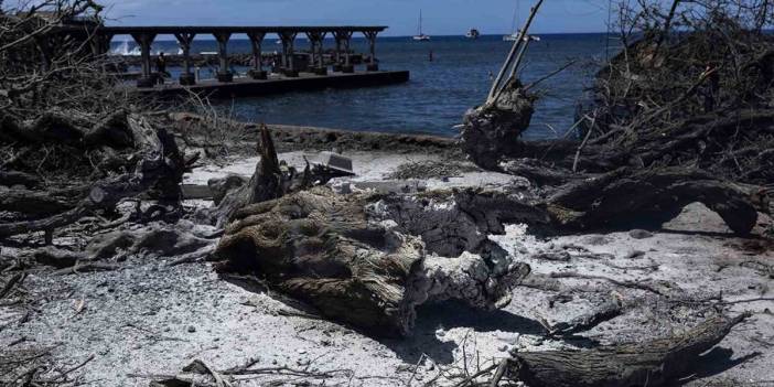 Hawaii yangınlarından iki gün sonra çıkan kitap komplo teorilerini ateşledi