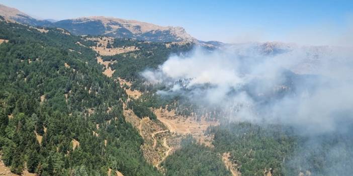 Deprem bölgesi Maraş'ta orman yangını