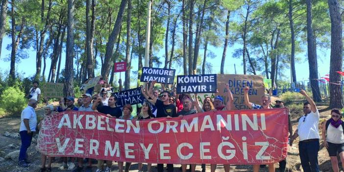 BM, 'doğa katliamı'na sessiz kalmadı! Limak'la yapılan anlaşma bozuldu