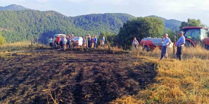 Bolu'da tarla yangınını köylüler söndürdü