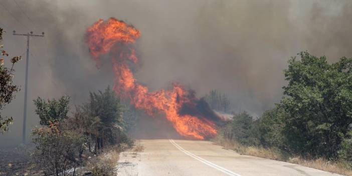 Yunanistan'da devam eden yangın Türk köylerine sıçradı